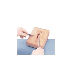 Simulador de sutura medio lateral NAS-LF00693U MARCA -  Nasco