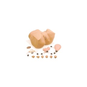 Maniquí Eva para ginecología (pelvis) SIM-PP01900U MARCA -  Simulaids