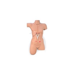 Simulador de vendaje "Surgical Sally" NAS-LF00929U MARCA -  Nasco