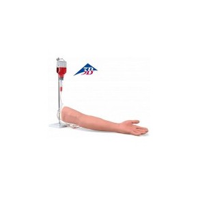 Brazo de entrenamiento de lujo para inyección intravenosa 3B Scientific 3BS-P50 MARCA -  3b Scientific