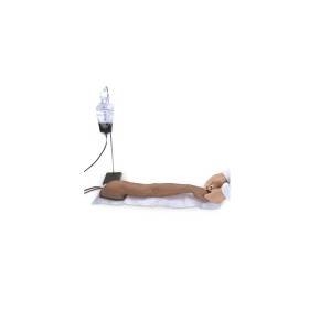 Brazo de entrenamiento para inyección NAS-LF01250U MARCA -  Nasco