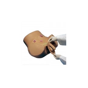 Simulador  para cateterismos de hombre y mujer 2 en 1 3BS-W45068 MARCA -  3b Scientific